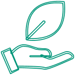 Icon depicting a hand holding a leaf, symbolizing environmental care or sustainability in a green outline.